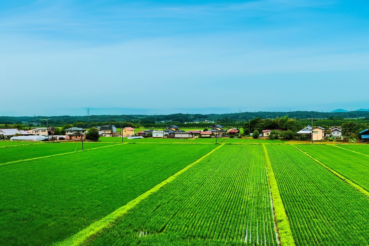 Nakagawa Town is rich in nature