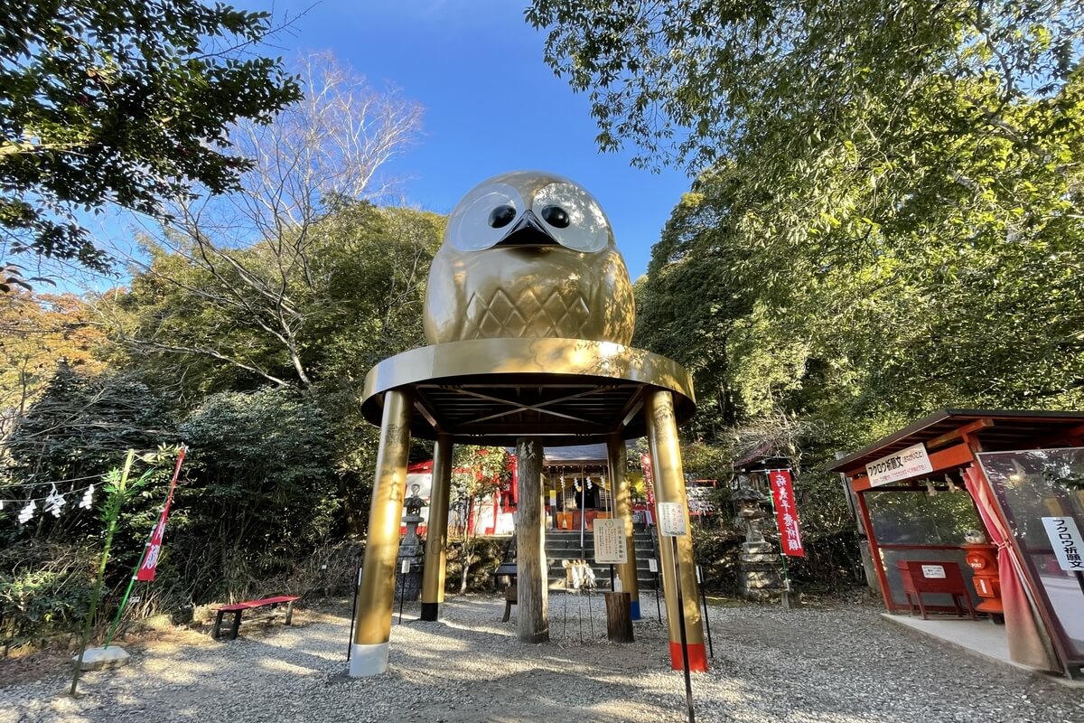 Torinoko Sanjyo Shrine
