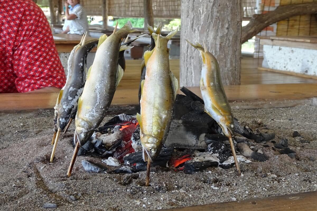 Ayu (sweetfish)