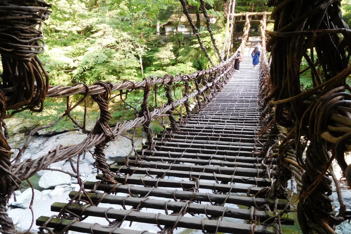 Iya Vine Bridge