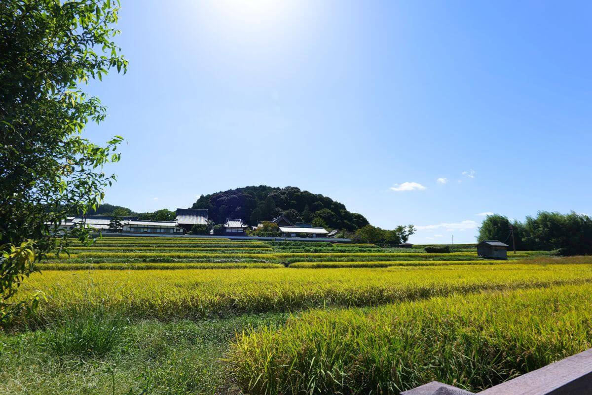 The rural landscape of Asuka Village