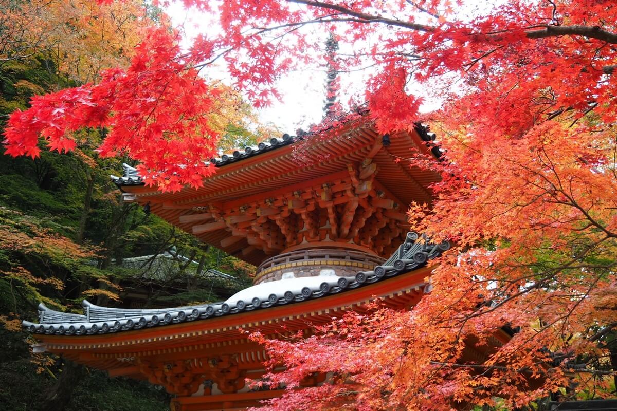 Daiitokuji Temple, Mt. Ushitaki (Kishiwada City)