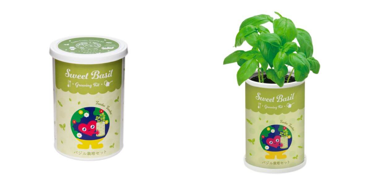 EXPO 2027 Tunku Tunku Cultivation Set Basil