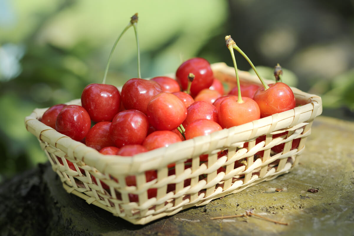 Cherries
