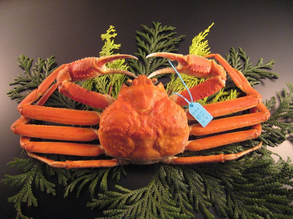 Premium Brand Crab: Kanogani