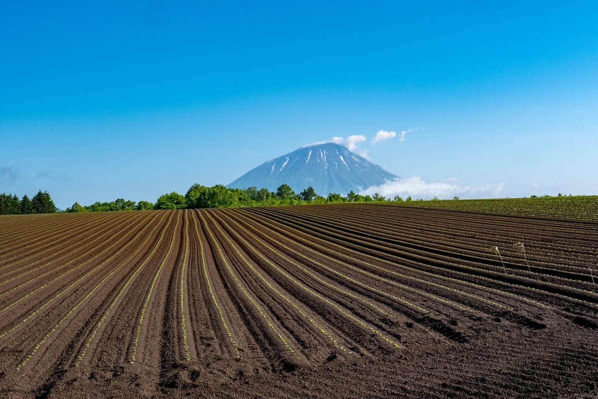 The Pioneering Era of Niseko, When Agriculture Thrived