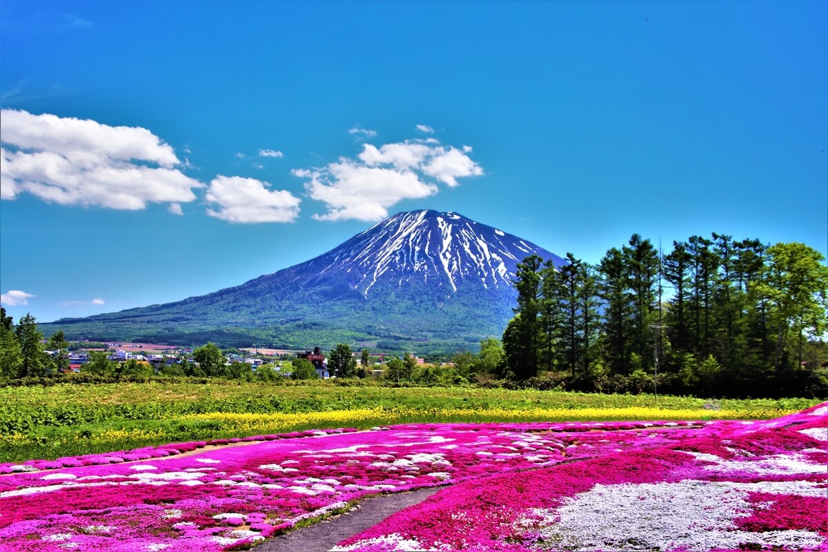 Mount Yotei (Ezo Fuji)