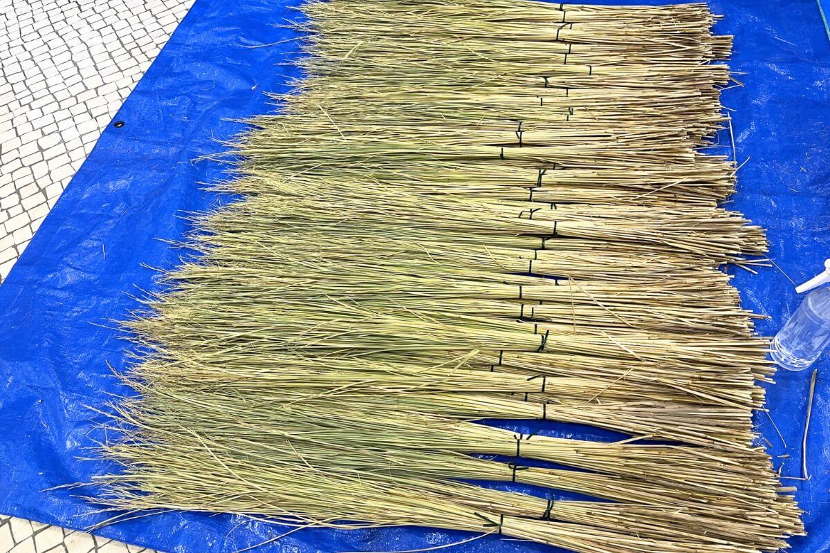 Glutinous rice straw