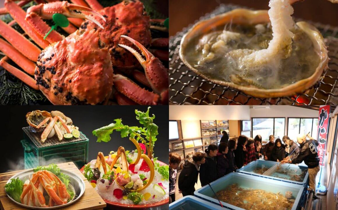Enjoy exquisite snow crab in Miyazu, Kyoto's coastal gem! Winter-only Crab Marche Plan