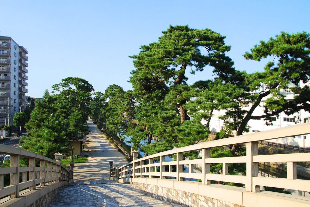 Nationally Designated Scenic Spot “Soka Matsubara: Scenic Area of the Narrow Road to the Deep North”