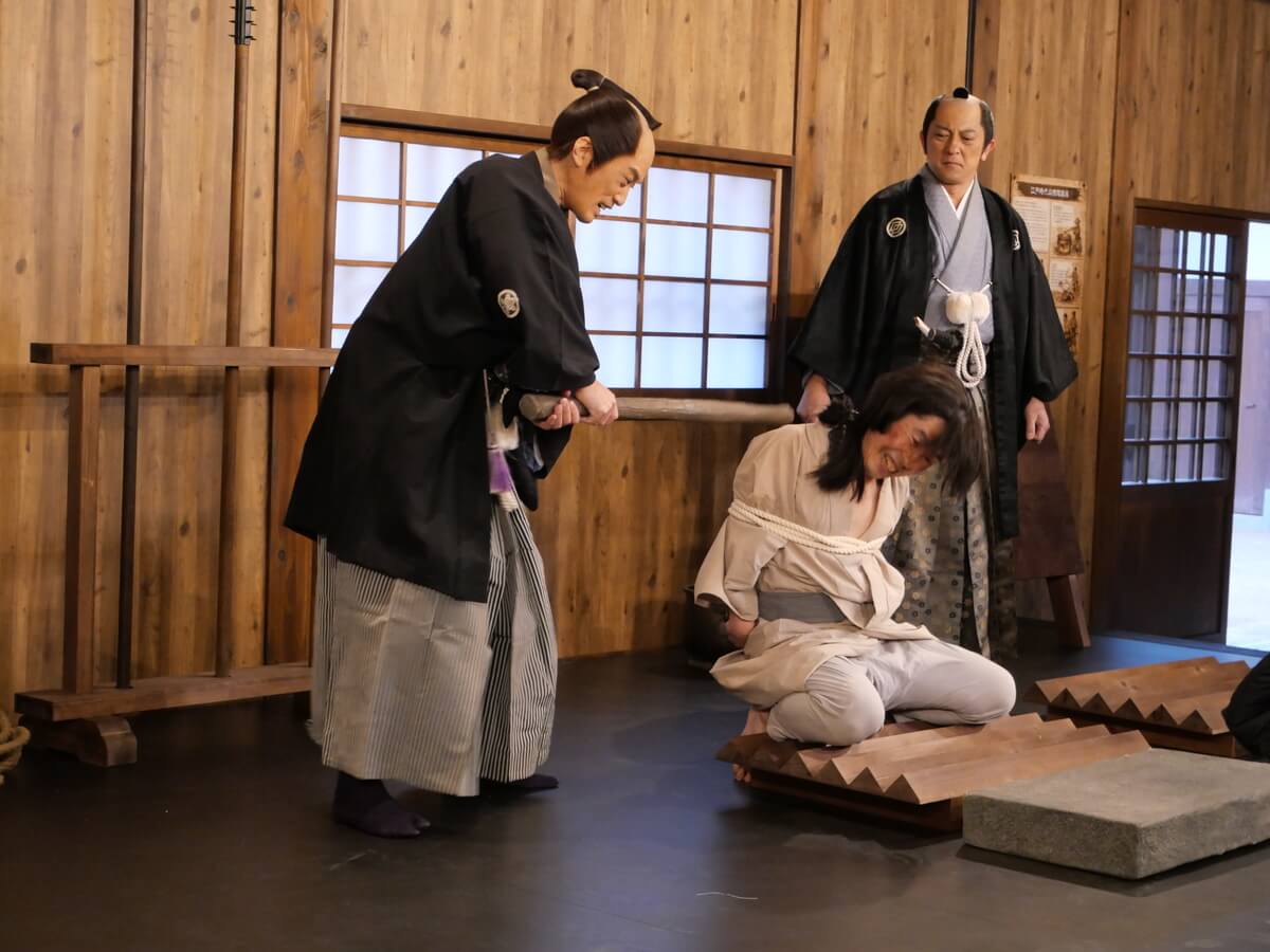 A Torture Mansion for Adults Only