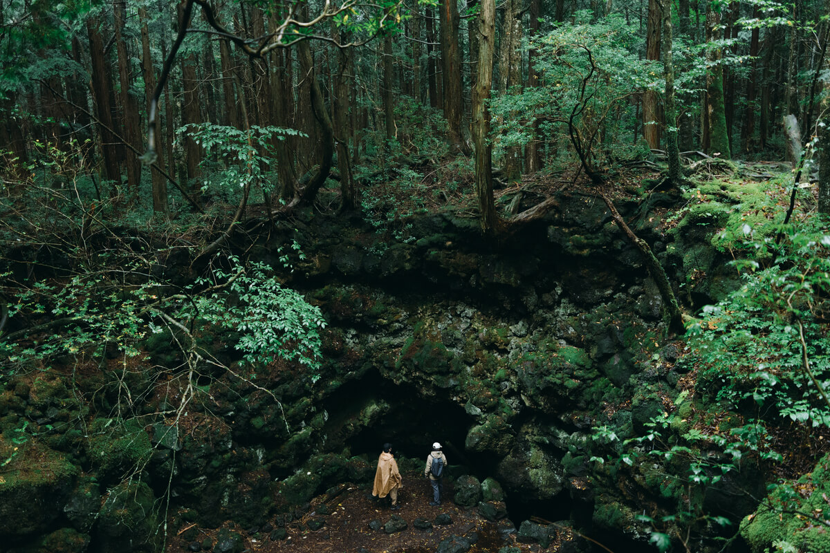 Aokigahara Forest Jukai Tour