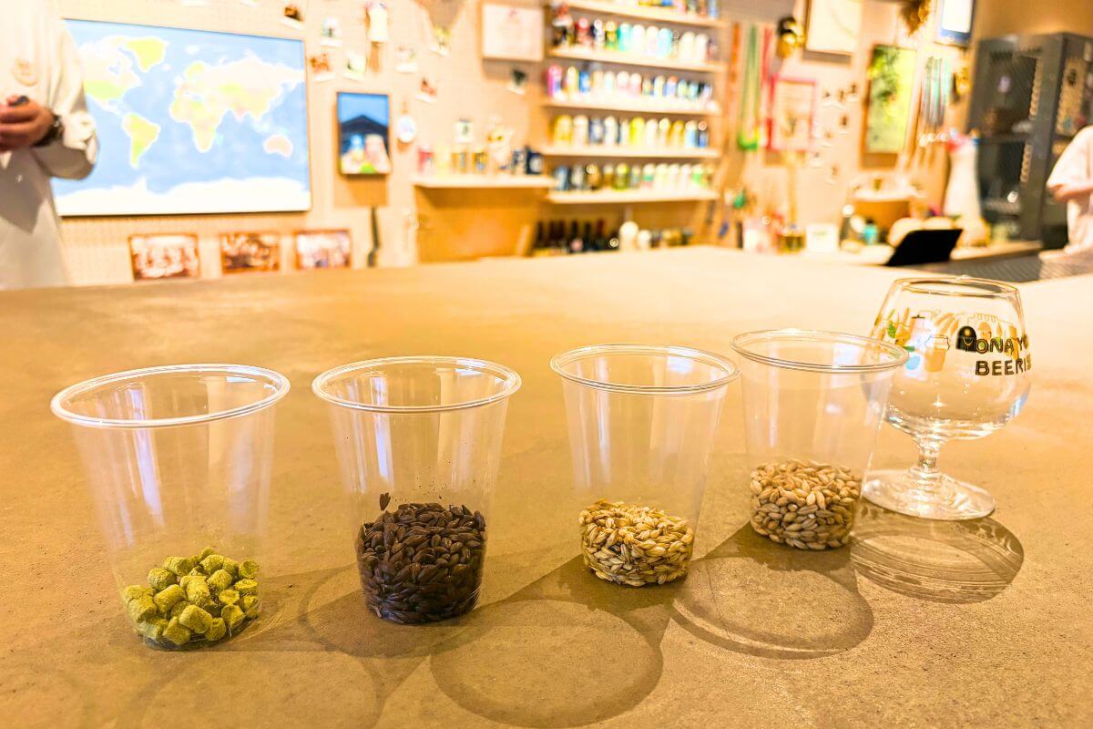Four Types of Malt: One of the Ingredients in Beer