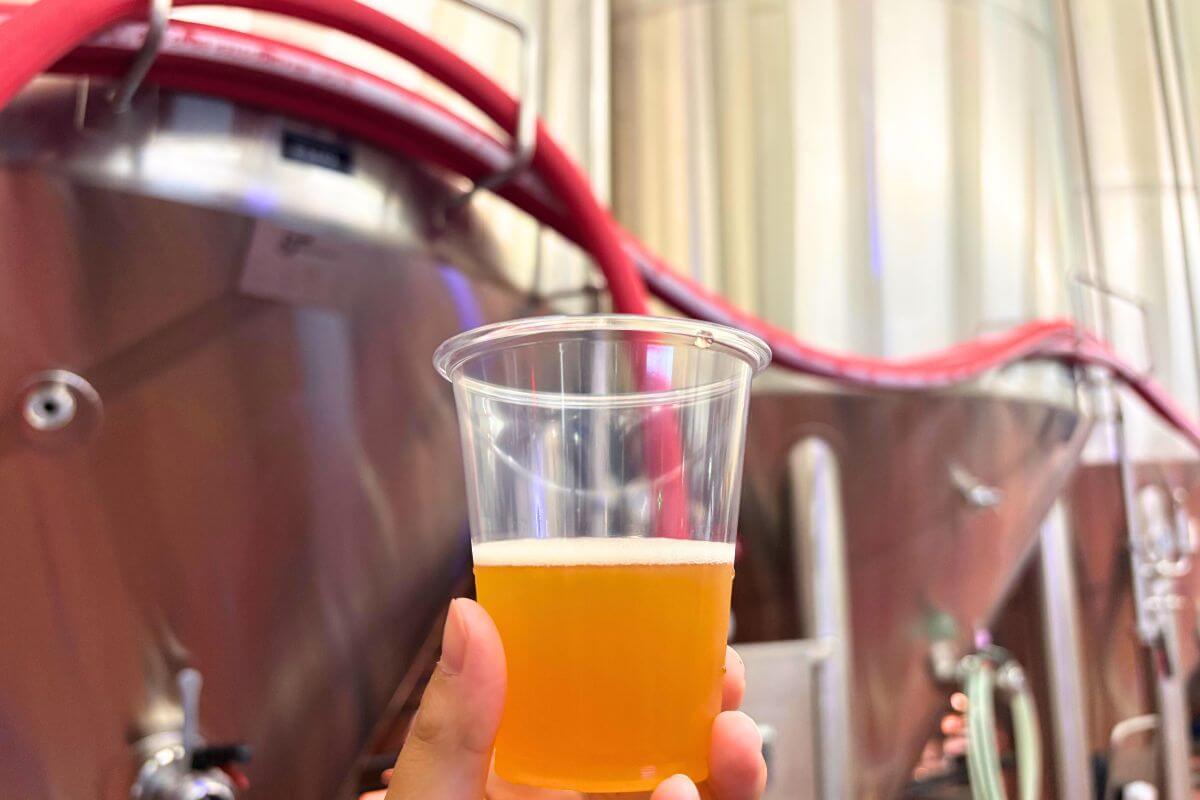 Freshly poured beer straight from the tank