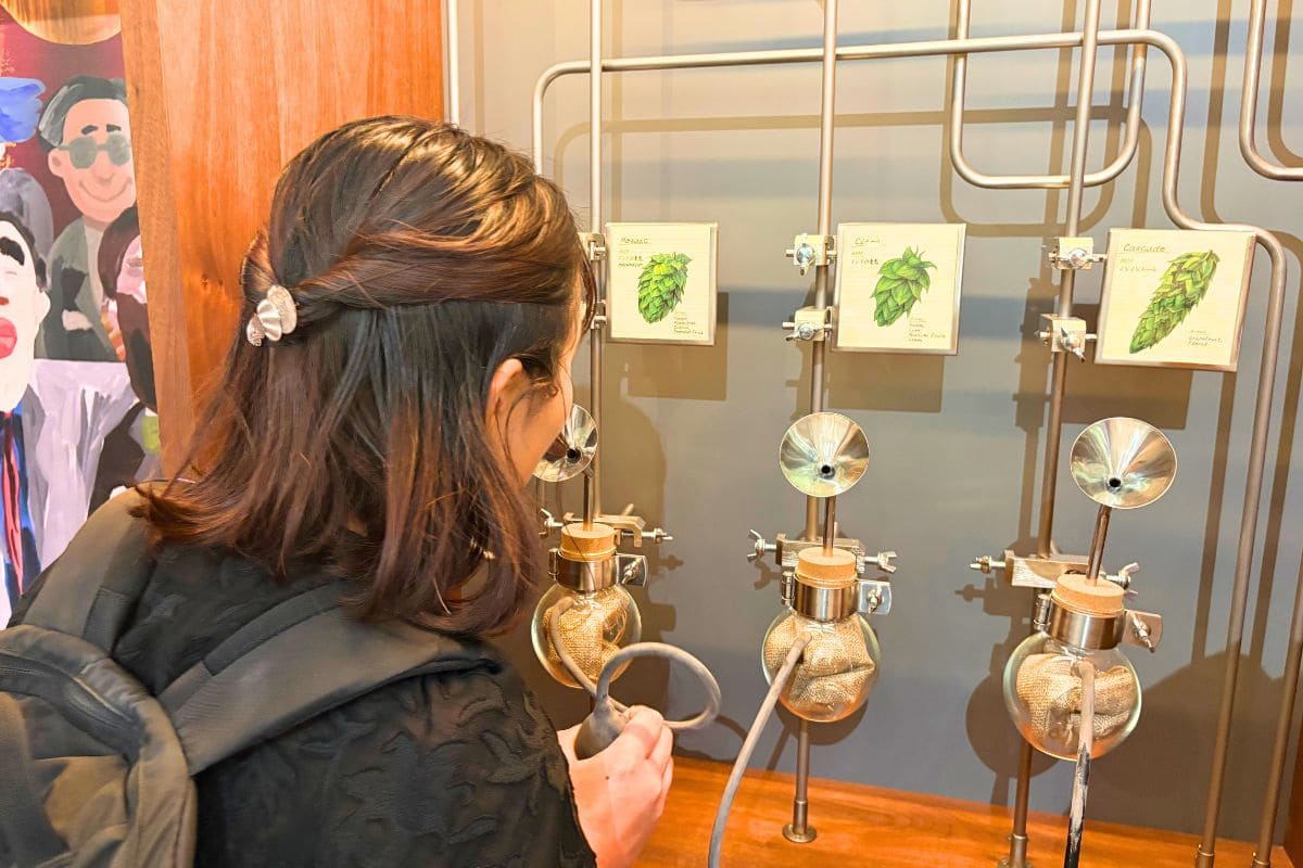 Hop Aroma Experience: “Pushu Pushu Hop”