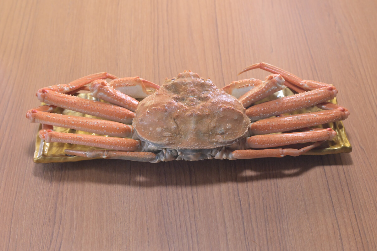 [Shinkansen Fresh Fish Delivery] One whole Hakodate snow crab: 1,980 yen
