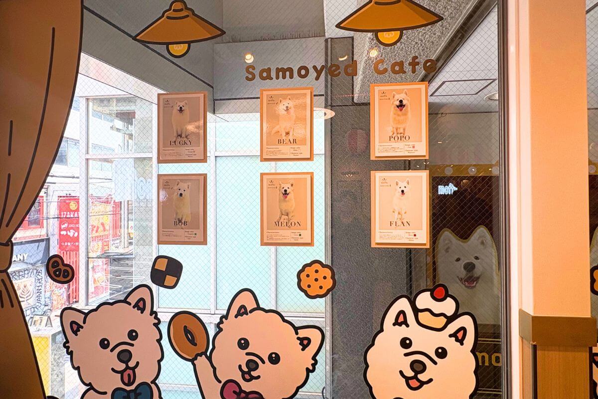 Samoyed Cafe moffu