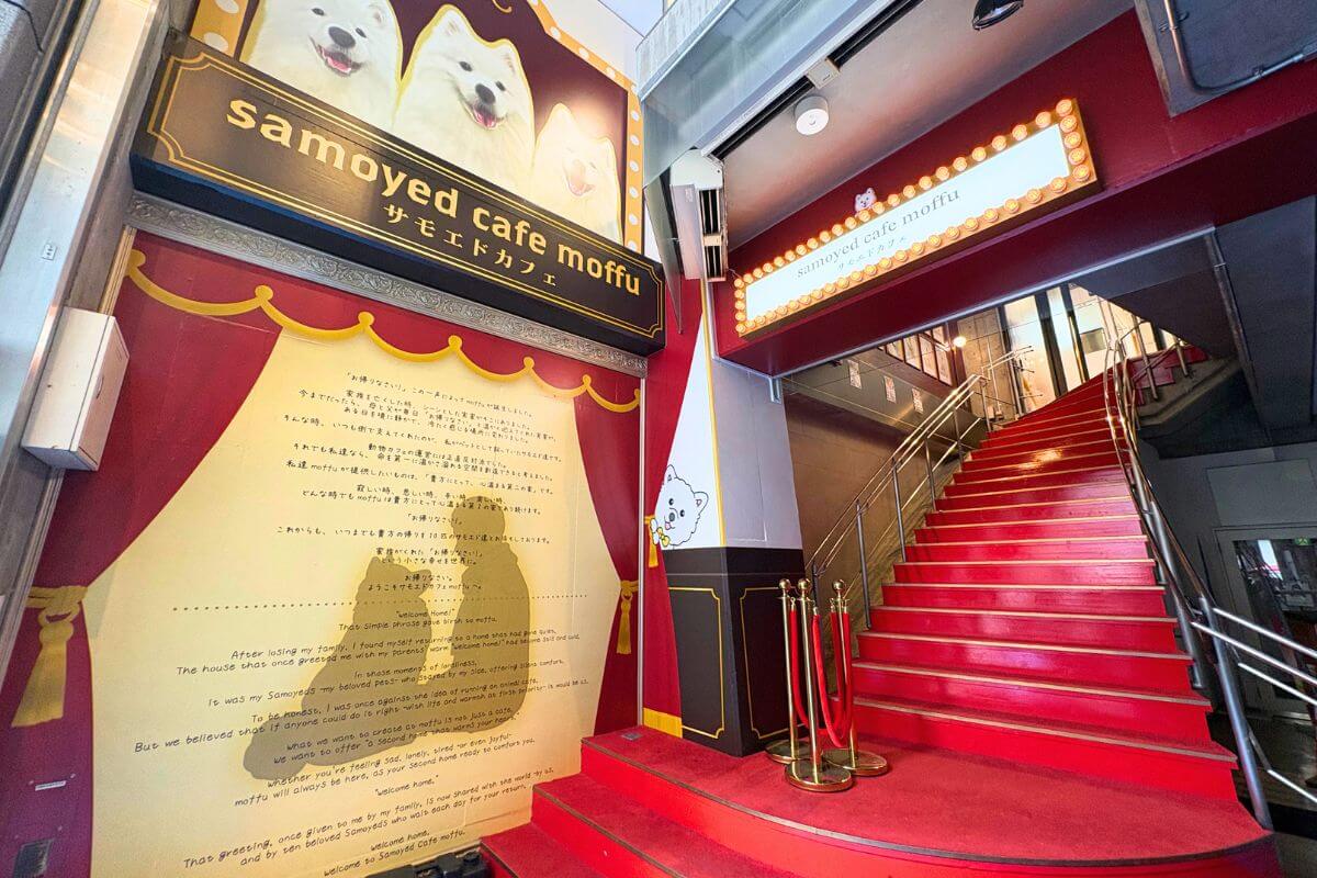 The entrance stairs at the Samoyed Cafe moffu Shinsaibashi, Osaka location